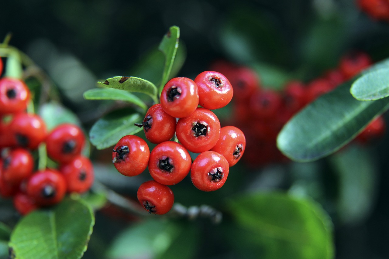 要探索的新 要探索的新