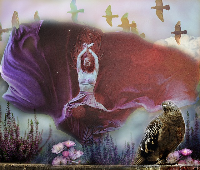 顿维拉的比 顿维拉的比